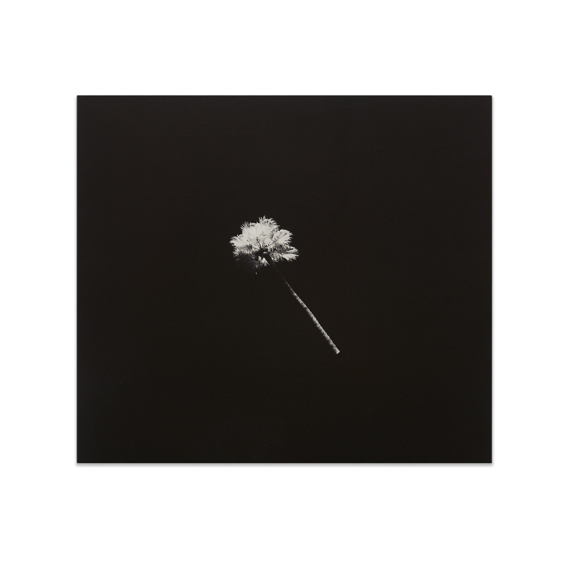 Black Atlass “Haunted Paradise” CD